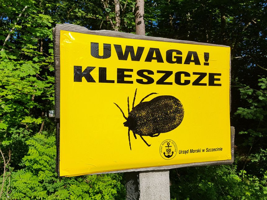 kleszcze