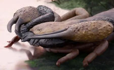 skorpion Praearcturus gigas, odkrycie nowego gatunku