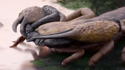 skorpion Praearcturus gigas, odkrycie nowego gatunku
