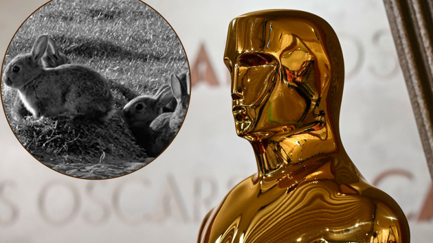 Kadr z filmu „Królik po berlińsku” i statuetka Oscara