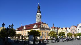Zdjęcie przedstawia rynek z ratuszem w tle, otoczony kolorowymi kamienicami i drzewami.