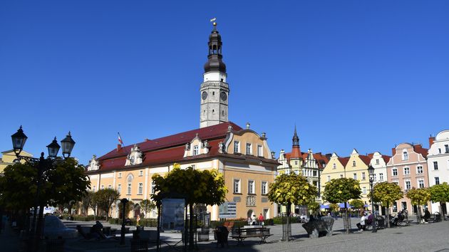 Zdjęcie przedstawia rynek z ratuszem w tle, otoczony kolorowymi kamienicami i drzewami.