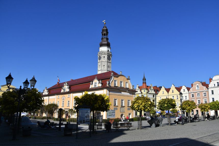 Zdjęcie przedstawia rynek z ratuszem w tle, otoczony kolorowymi kamienicami i drzewami.