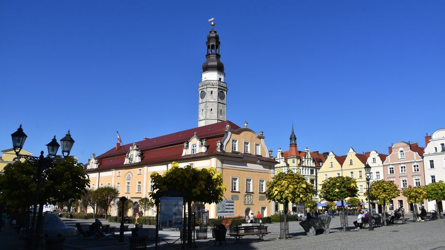 Zdjęcie przedstawia rynek z ratuszem w tle, otoczony kolorowymi kamienicami i drzewami.