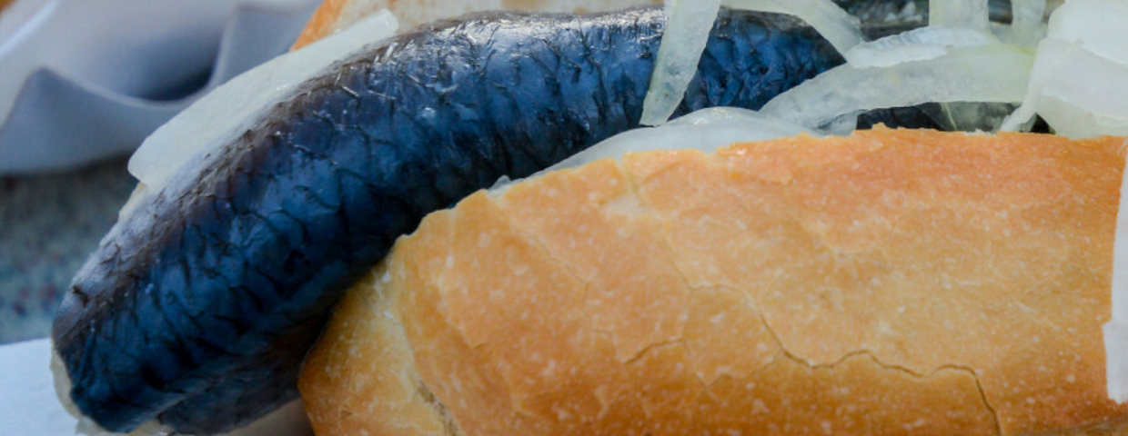 Bułka ze śledziem Fischbrötchen, Rugia