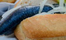 Bułka ze śledziem Fischbrötchen, Rugia