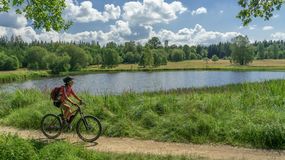 Kobieta na rowerze jedzie wzdłuż ścieżki przy jeziorze, otoczonej zielenią i drzewami.