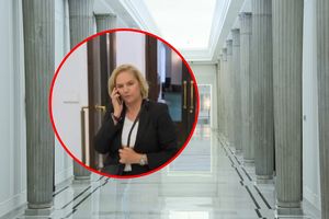 Dominika Chorosińska, Sejm