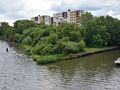 Odra we Wrocławiu