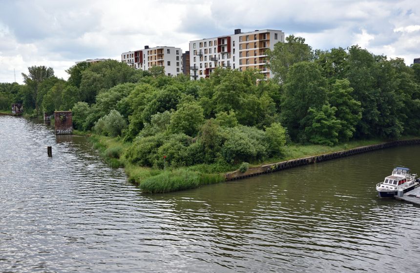 Odra we Wrocławiu
