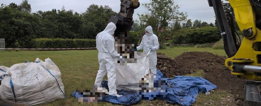 Policjanci na terenie posesji w Lutoryżu
