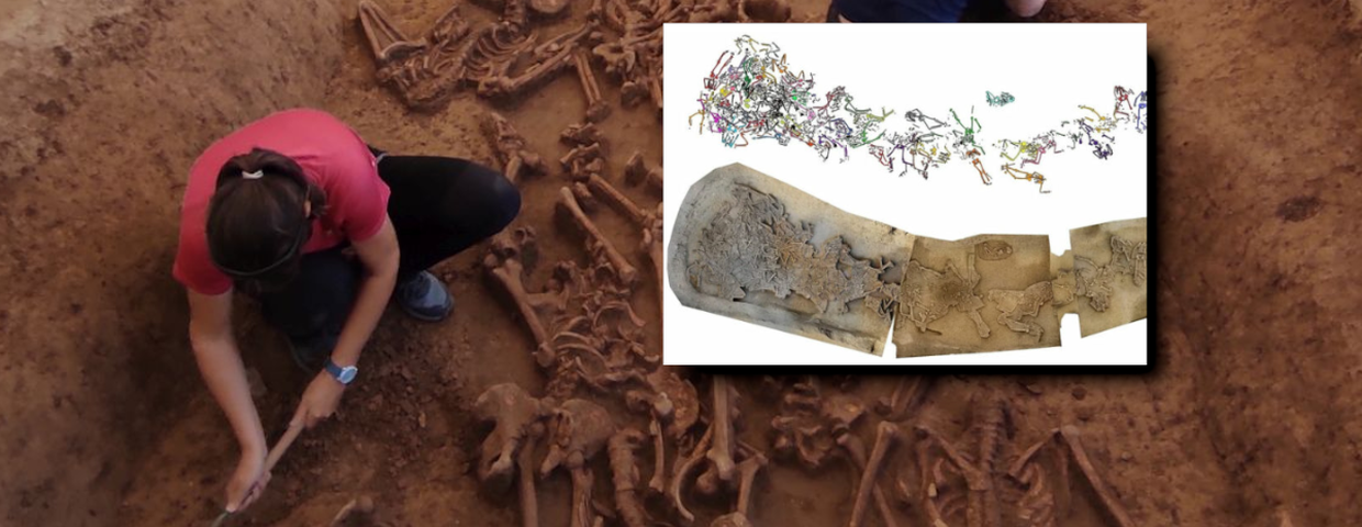 Odkrycie archeologiczne na Słowacji, szkielety bez głów