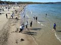 Plaża pełna ludzi, niektórzy wchodzą do wody, inni spacerują po brzegu. Słoneczna pogoda.