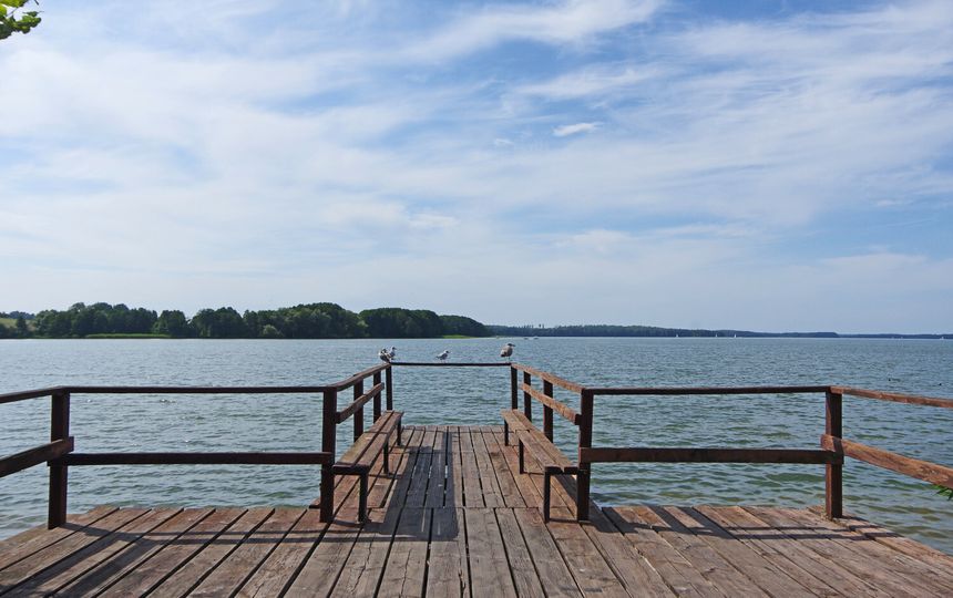 Molo nad wodą, otoczone zielonymi drzewami, na rzece śpiewają ptaki. Zachmurzone, jasne niebo.