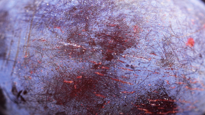 Śliwka
