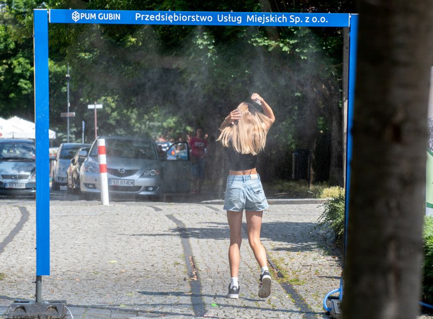 Kurtyna wodna