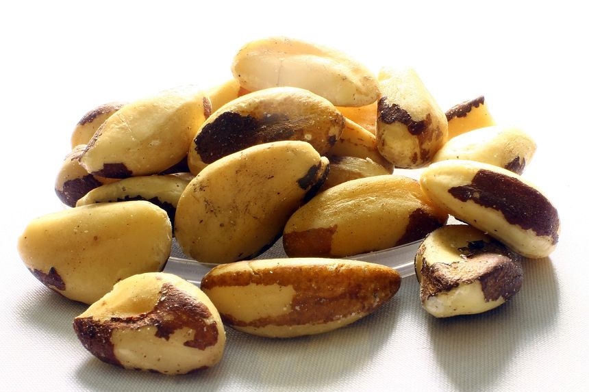 Orzechy brazylijskie