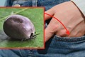 Jak się chronić przed kleszczami?
