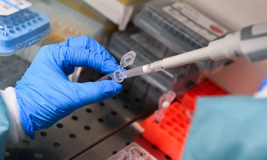 Ręka w rękawiczce trzyma pipetę, pobierając próbkę z laboratorium. W tle zdjęcia widoczne pojemniki.