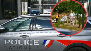 Katastrofa samolotu we Francji