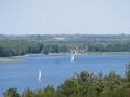 Jezioro Dominickie w Boszkowie