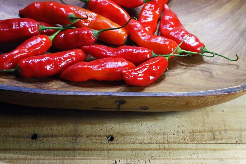 Papryka chili