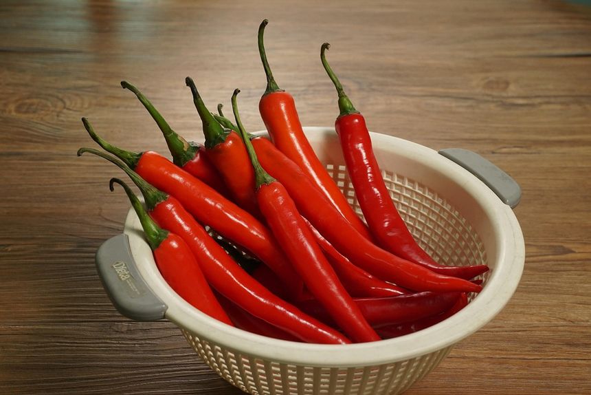 Papryka chili