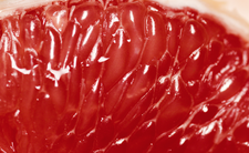 Grejpfrut