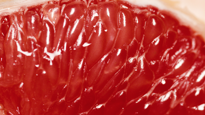 Grejpfrut
