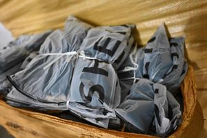 Zestaw zapakowanych elementów w przezroczystych opakowaniach leżących w koszu.