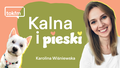 Nowy podcast w TOK FM