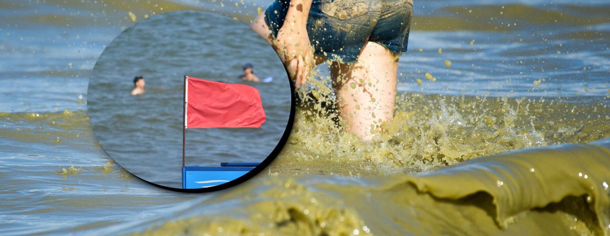 Sinice w Bałtyku, rośnie zanieczyszczenie morza