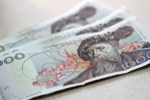 Na zdjęciu widoczne są banknoty w kolorze jasnoszarym z postacią mężczyzny.