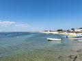 Faro w Algarve