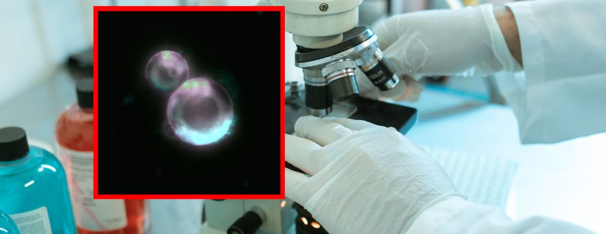 Syntetyczna komórka, przełom w laboratorium