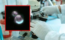 Syntetyczna komórka, przełom w laboratorium
