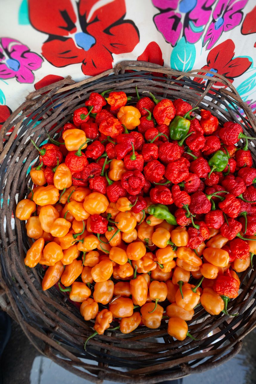 Acerola, zdrowe owoce
