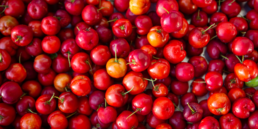 Owoce acerola