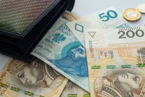 Portfel z polskimi banknotami: 50, 200 zł oraz monetami. Różne nominały w widoku.