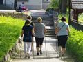Grupa kobiet spacerujących po ścieżce w parku, używających kijów do nordic walking.