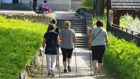 Grupa kobiet spacerujących po ścieżce w parku, używających kijów do nordic walking.