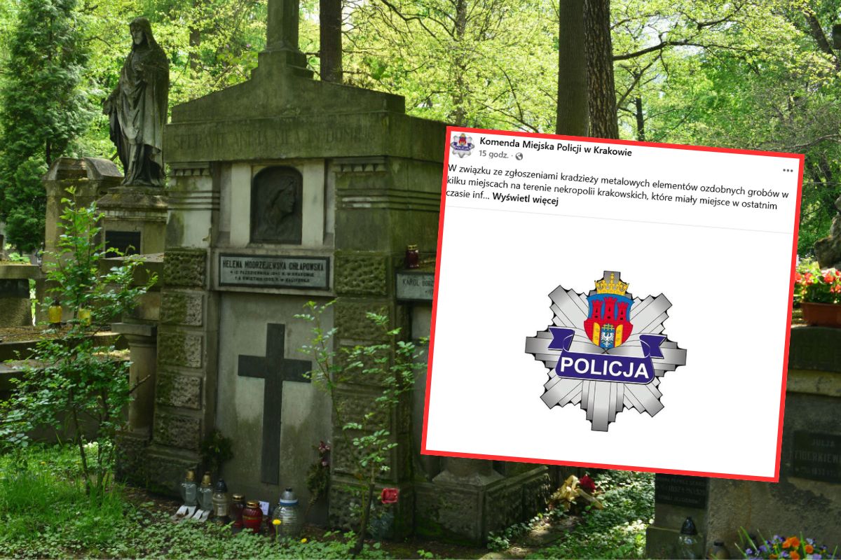 Seria dewastacji na cmentarzu w Krakowie. Zniszczono grób legendarnej aktorki 