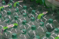 Plastikowe zgrzewki wody zakazane w UE, nowe przepisy