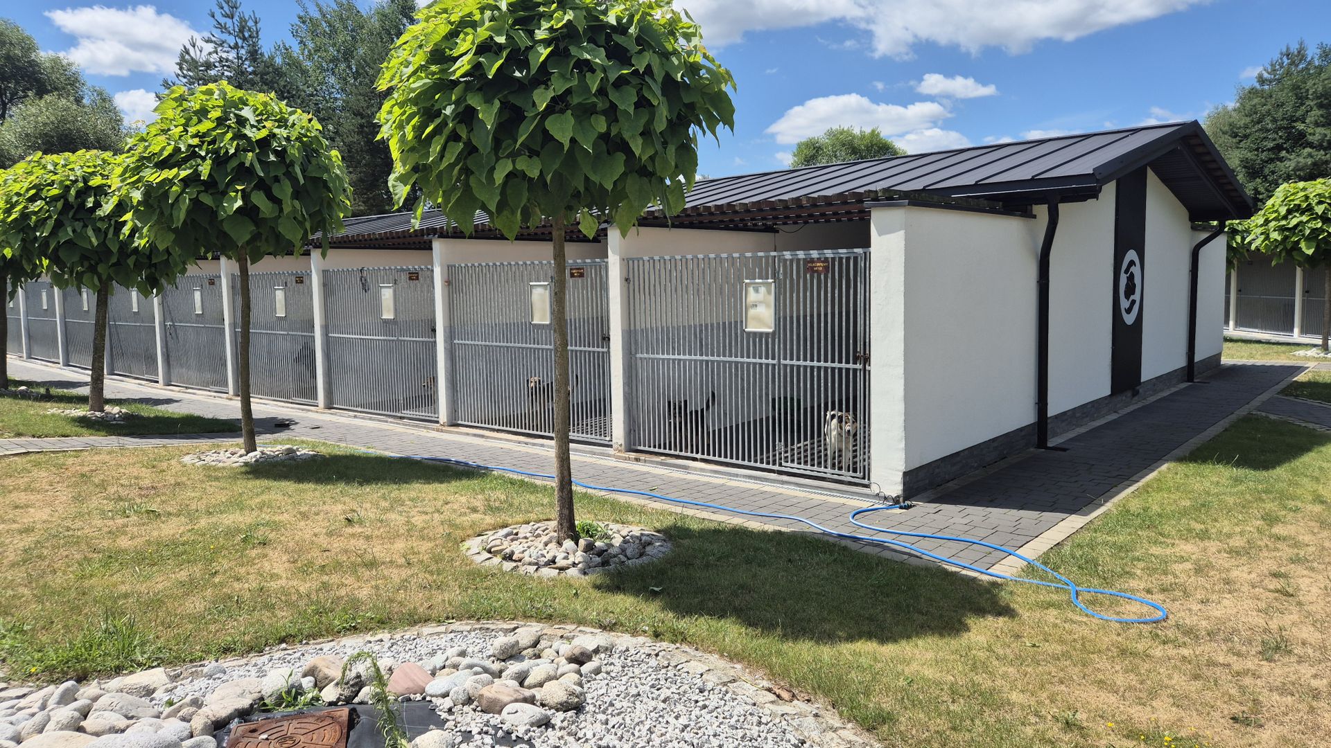 Nowy rozdział dla psów z Nowego Targu. Mogą już trafić do adopcji