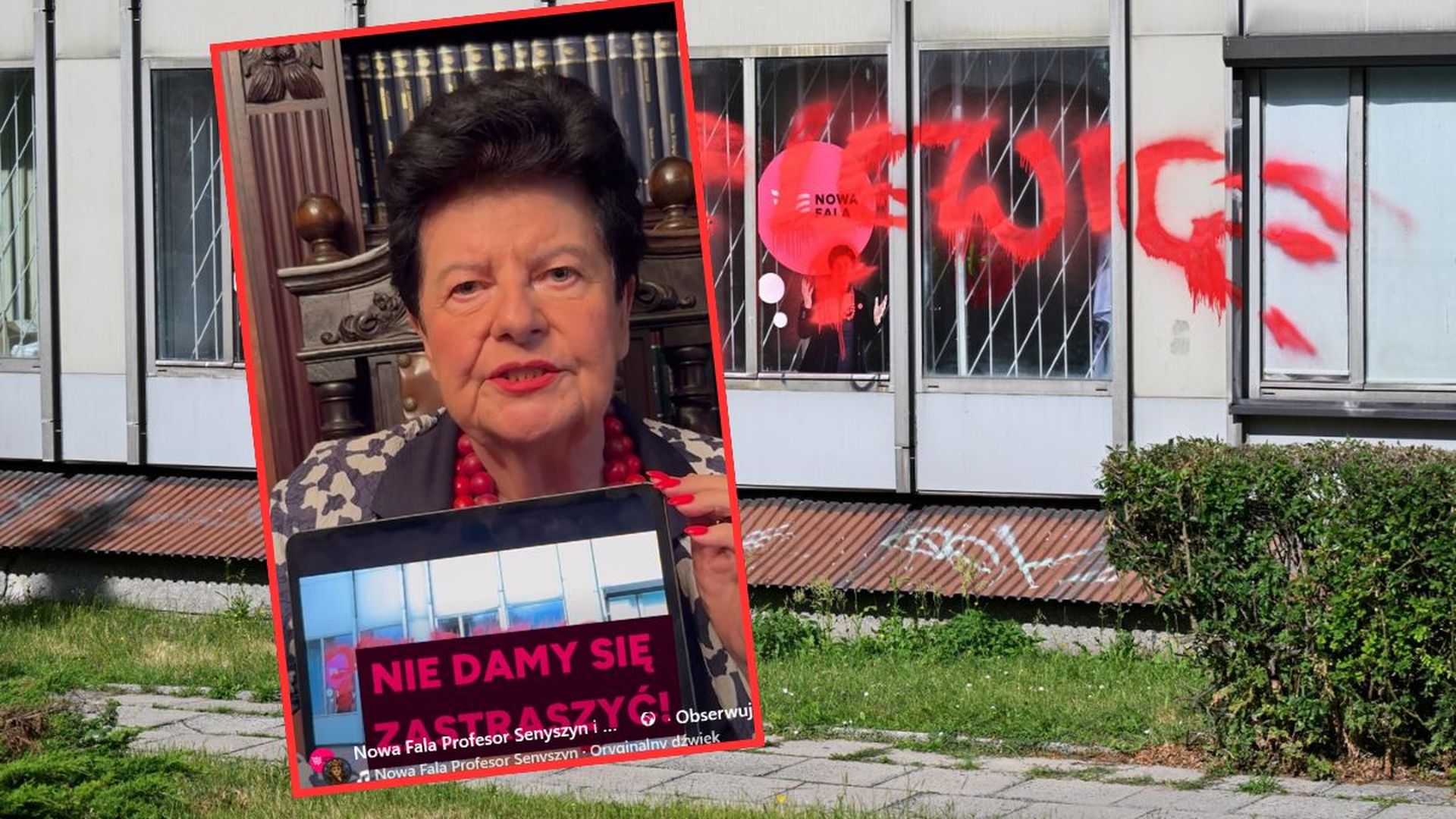 Wandale zdewastowali biuro Joanny Senyszyn. Wulgarny napis. „Nie damy się zastraszyć”