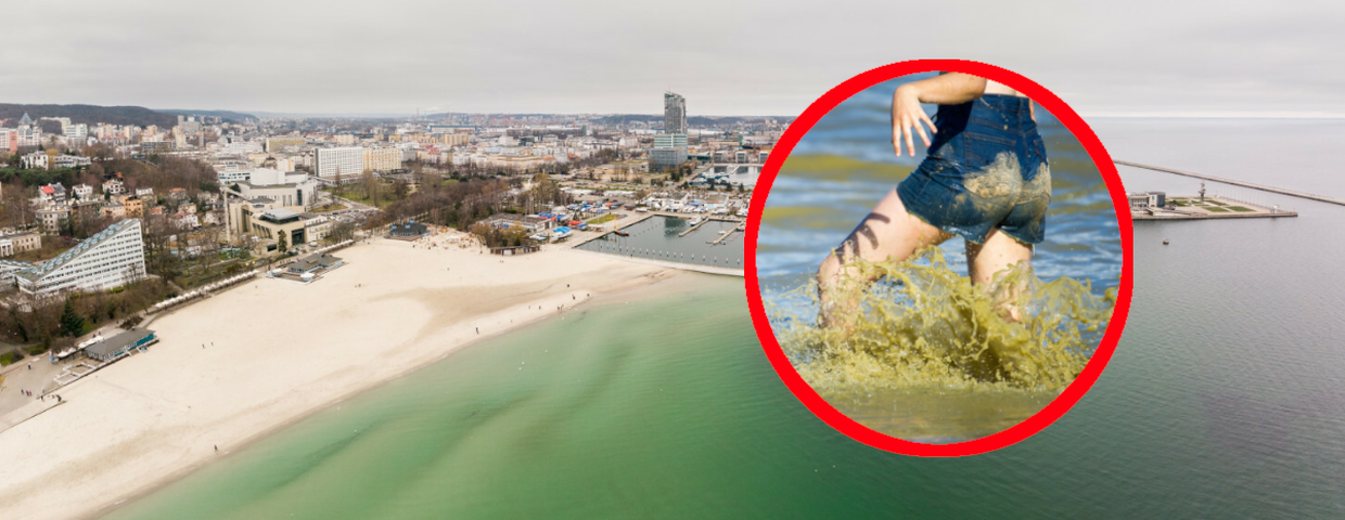 Zielona woda w Bałtyku, sinice