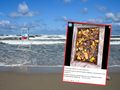 Opis ALT: Plaża z falami, w tle wieża ratunkowa, na pierwszym planie zdjęcie bursztynów w skrzynce.
