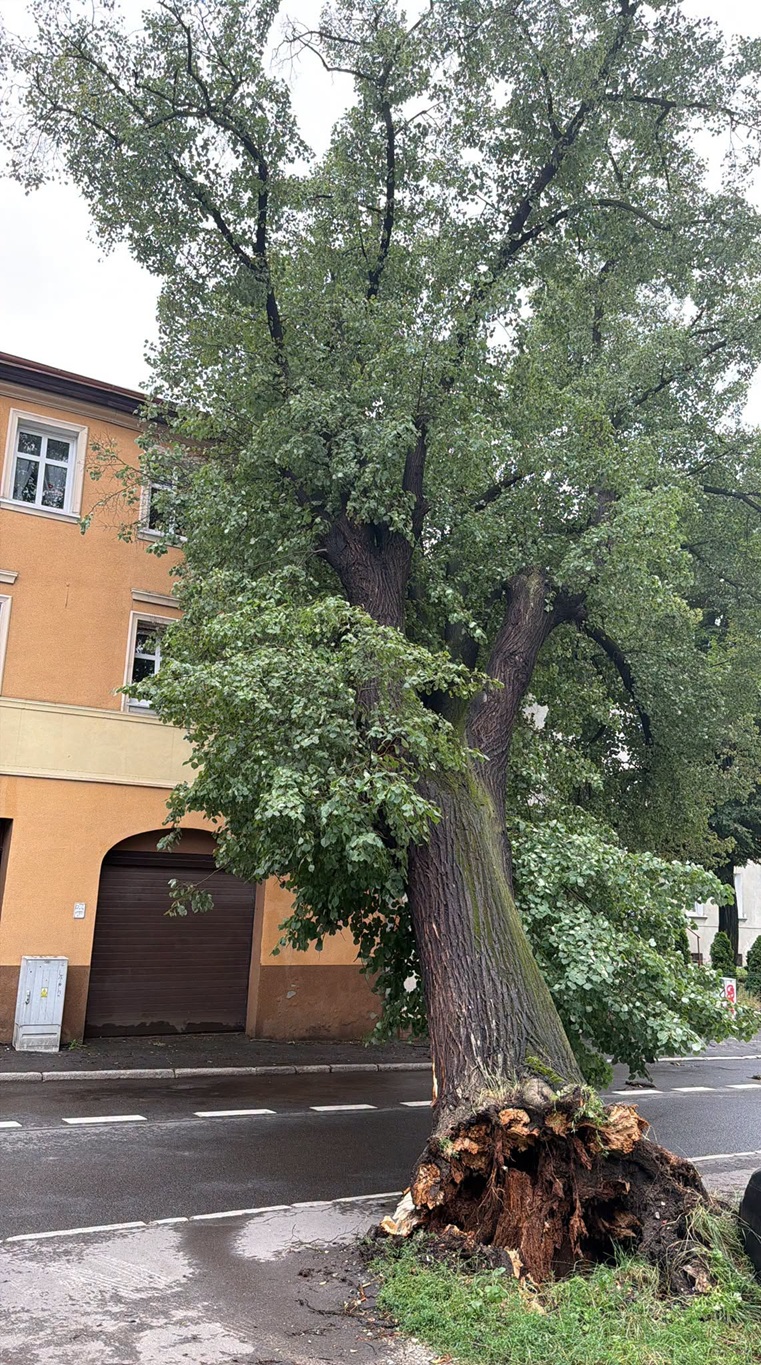 Skutki burzy w Jeleniej Górze