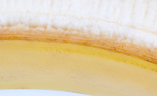 Banan