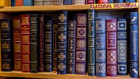 Homer. Na półce książki w różnych kolorach, w tym klasyki literatury. Brak osób.